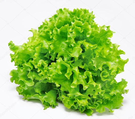 Lettuce